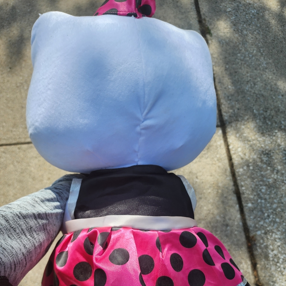 Hello Kitty Party Greeter